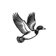 Obraz premium Flying Duck Vector: A sleek monochrome vector illustration captures a duck in mid-flight with outstretched wings, ideal for design assets, logos and graphic elements. 