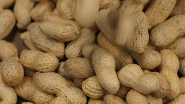 Whole peanuts in shells falling down in wooden bowl