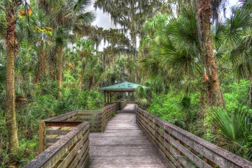 Palm Island Park Boardwalk at Mount Dora Florida