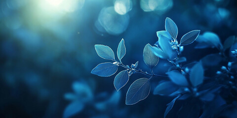 Blue leaves with light background