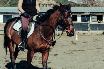 equestrian sport club, horse rider on brown horse, sand soil ground, warm sunny day
