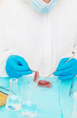 laboratory testing of different food products. Selective focus.