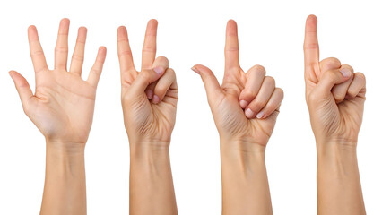 Human hands showing numbers from one to five through hand gestures, isolated on white background, sign language, counting concept