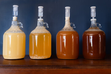 Four carboys filled with liquid varying in color from light gold to dark amber with airlocks