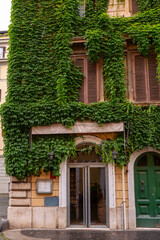 old house with ivy, houses with vegetation on their facade and window with pink flowers