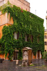 old house with ivy, houses with vegetation on their facade and window with pink flowers