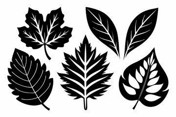 leaves line art silhouette vector illustration