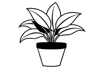 house plant line art silhouette vector illustration
