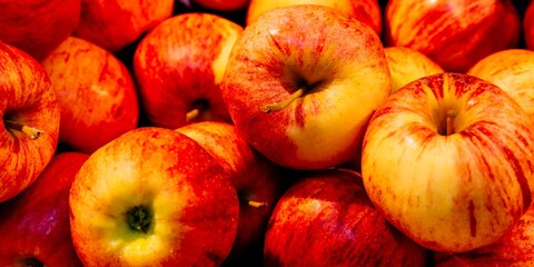 Apple Royal Gala.