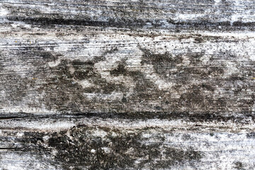 Weathered wooden surface with mold and texture
