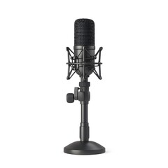 Professional Black Studio Condenser Microphone on Stand Isolated on White Background