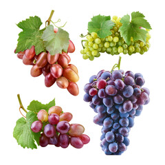 Fresh Grapes Collection in Varied Colors with Lush Green Leaves, isolated on transparent background