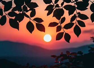 Captivating Sunset Through Silhouetted Leaves with Mountain Backdrop Scenery