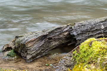 Totholz in der Lauter. Ein kleiner Fluß der Schwäbischen Alb in Deutschland
