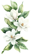 Fototapeta premium Soft watercolor rendering magnolia blossoms blooming amid lush green foliage, capturing gentle botanical beauty with refined artistic technique