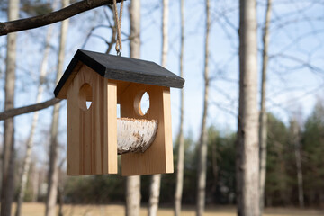 Wooden bird feeder hanging from a tree branch in a serene forest setting, offering an inviting space for birds to feed and rest in their natural woodland habitat