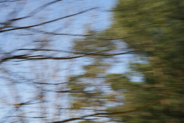 blurry depiction of forest motion captured with intentional camera movement creating streaks of green trees and blue sky enhancing an abstract dynamic nature scene, impressionistic, illusion, visual