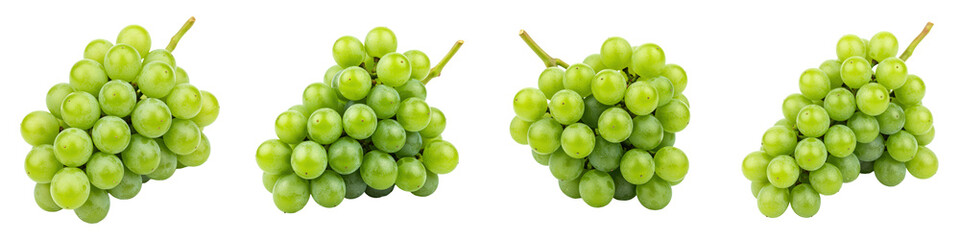 Cluster of Immature Green Grapes, Cut Out Set