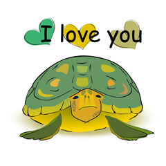 Beautiful image of love towards animals, in this case, a turtle with the words I love you
