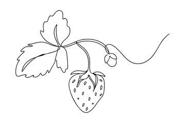 Single Line Drawing of Strawberry Plant with Leaves and Bud