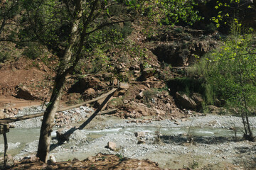 Breathtaking canyon landscape with towering sandstone cliffs, lush green trees, and a winding river. Majestic rock formations and rugged mountains summer sunny day. Forest in mountains background.