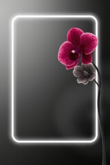 Vibrant Orchid Flower Frame with Glowing Neon Border on Dark Background