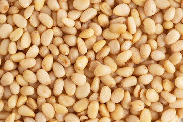 Pine nuts background. Closeup. Macro.