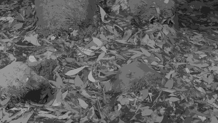 Mossy rock and leaves in the forest