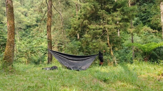 The process of setting up a shelter tent using a flysheet in the forest by a male adventurer. A traveler is setting up a flysheet for a bushcraft adventure in a pine forest area.