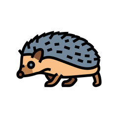 hedgehog pet home color icon vector illustration