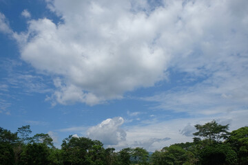 Obraz premium Fluffy white clouds in the blue sky above a row of trees.Ecology and environment concept.Copy space for text.For graphic design,3D rendering or banner background