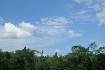 Fluffy white clouds in the blue sky above a row of trees.Ecology and environment concept.Copy space...