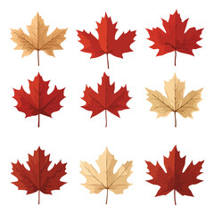 maple leaves isolated on white