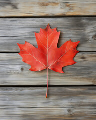Obraz premium Single Red maple leaf on rustic wooden background