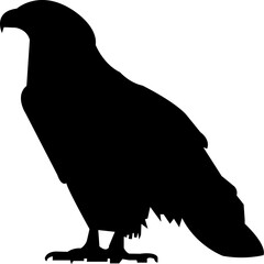 Eagle Icon