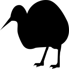 Kiwi Icon