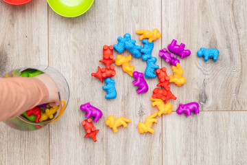 Children's color sorter for the development of fine motor skills and logic.Early child development....