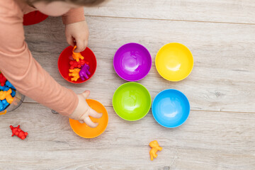 Children's color sorter for the development of fine motor skills and logic.Early child development....