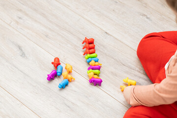 Children's color sorter for the development of fine motor skills and logic.Early child development....