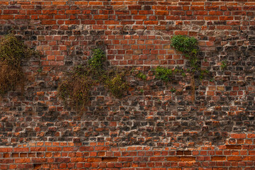 Detail of a texture of an old brick wall