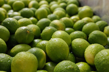 Industrial washing of fresh limes with water, hands in black gloves handling citrus fruits in a stainless steel basin for food processing.