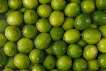 Fresh green limes submerged in water, vibrant citrus background, organic tropical fruit, refreshing and juicy texture.