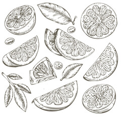 seamless background with fruits