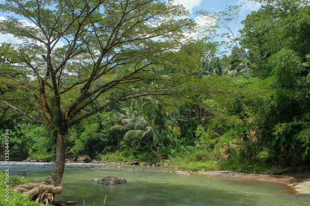 Poster view of the river with large, lush trees on the side. impresses calm and peace. ecological and envir