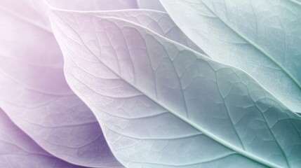 Obraz premium Close-up of delicate, pastel-toned leaves, showcasing intricate veins