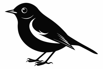 robin bird line art silhouette vector illustration