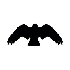 Flying eagle silhouette. Vector illustration isolated on white background