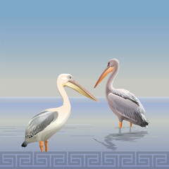 Water landscape with two pelicans. Realistic vector illustration