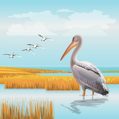Water landscape with a pelican and a flying flock of birds. Realistic vector illustration