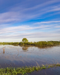 Calm body of water with a tree in the foreground